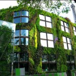 quai-branly